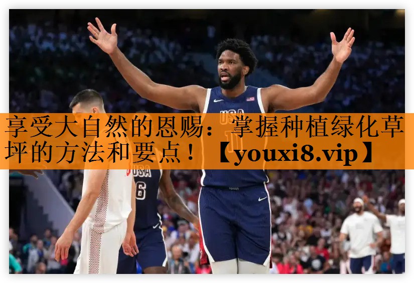 享受大自然的恩赐：掌握种植绿化草坪的方法和要点！