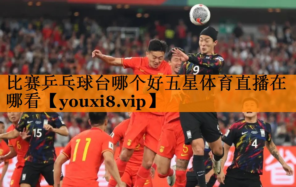 比赛乒乓球台哪个好五星体育直播在哪看