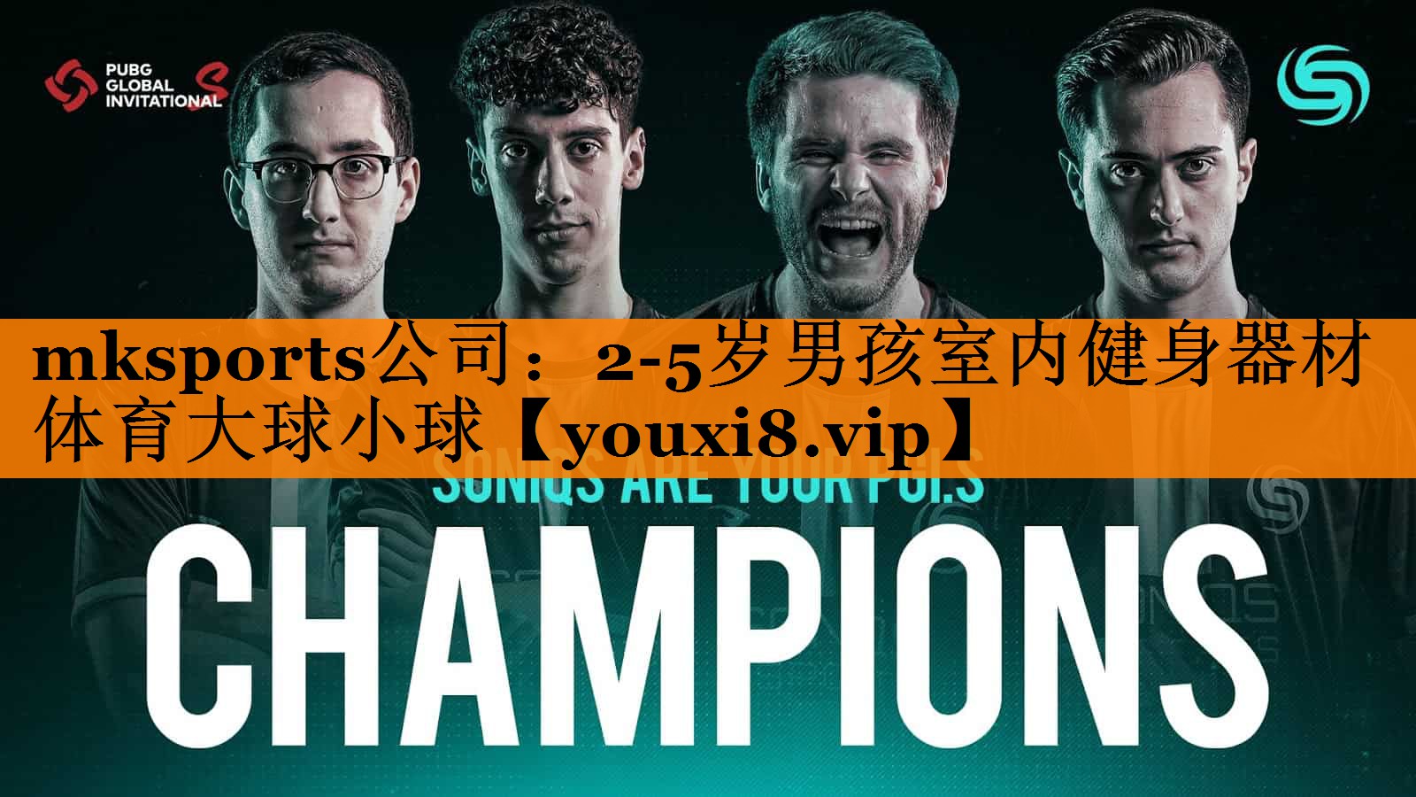 mksports公司：2-5岁男孩室内健身器材体育大球小球