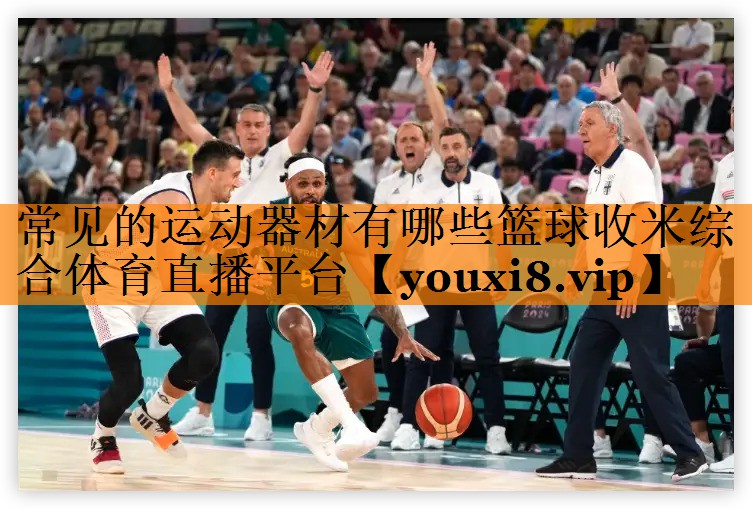 常见的运动器材有哪些篮球收米综合体育直播平台