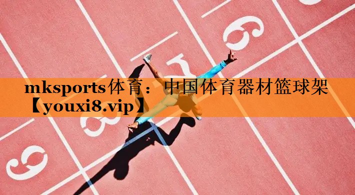 中国体育器材篮球架