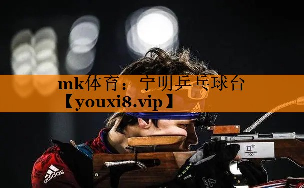 宁明乒乓球台